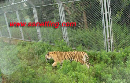 stainless steel tiger mesh