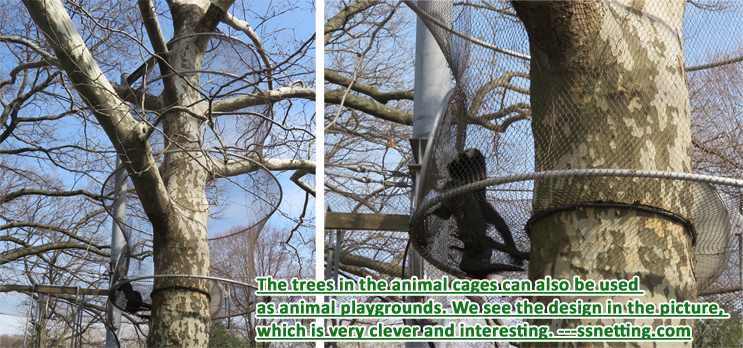 The trees in the animal cages can also be used as animal playgrounds. We see the design in the picture, which is very clever and interesting.