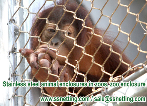 Stainless steel animal enclosures in zoos, zoo enclosure