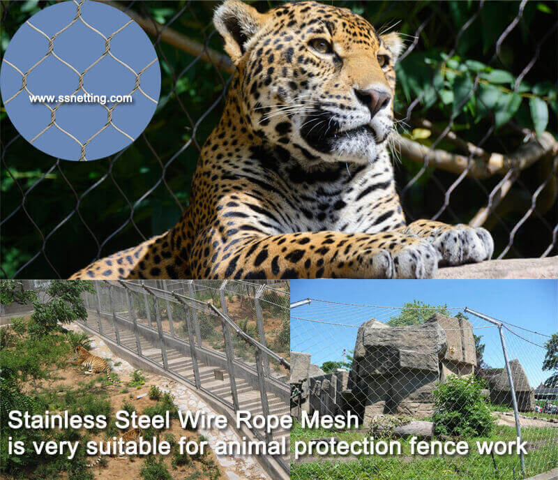 Stainless Steel Wire Rope Mesh is very suitable for animal protection fence work