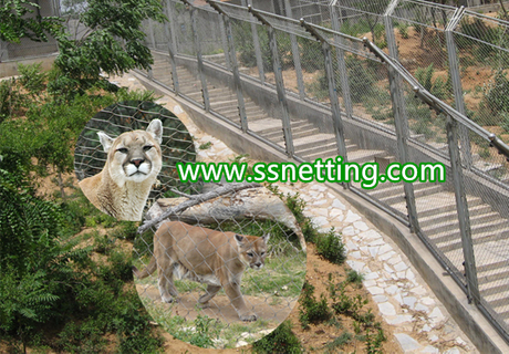 lion enclosure net, lion fence mesh, lion cages fence.jpg