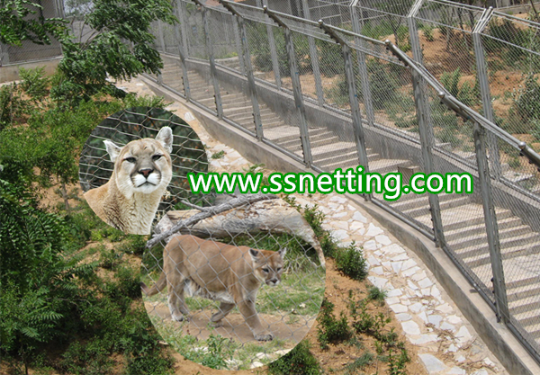 sales for lion enclosure net, lion fence mesh, lion cages fence