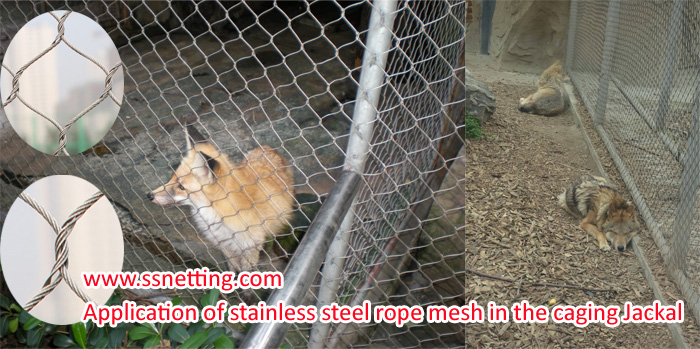 Application of stainless steel rope mesh in the caging Jackal