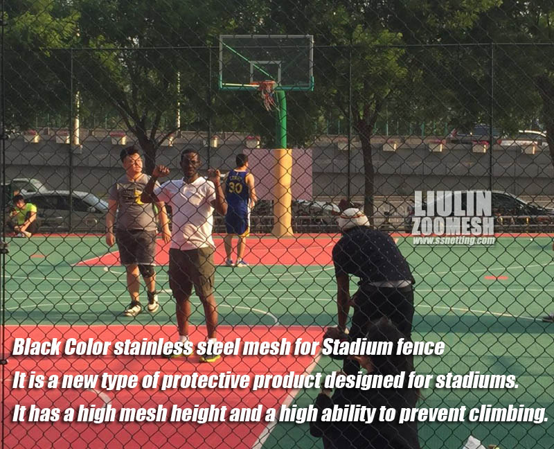 Black Color stainless steel mesh for Stadium fence