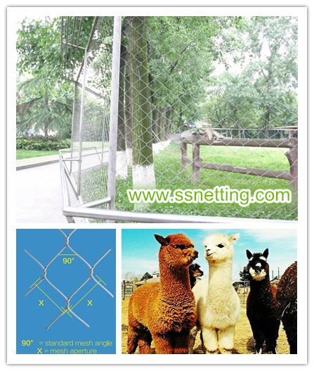 Wire rope zoo mesh used for Alpaca fence netting projects