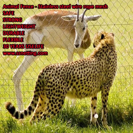 Animal Fence - Stainless steel wire rope mesh.jpg