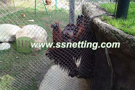 Animal Fence Enclosures Netting in Zoo Visiting Information