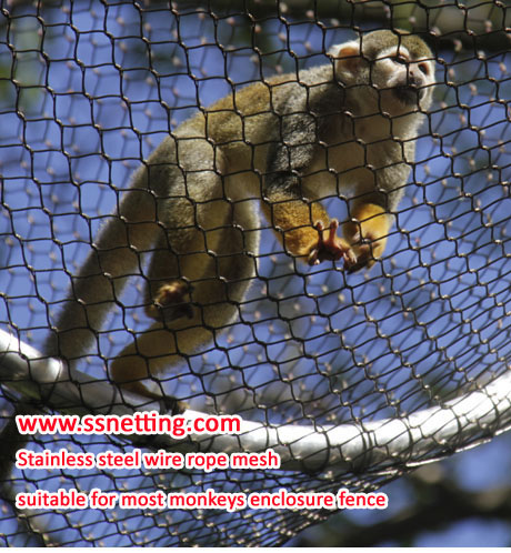 Is the stainless steel wire rope mesh suitable for enclosure of Marmosets monkeys?