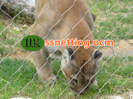 lion cage fence.jpg