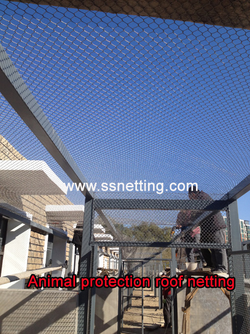 animal protection roof netting