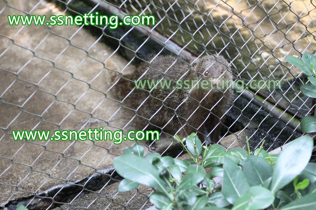 Stainless steel wire rope mesh for zoo mesh