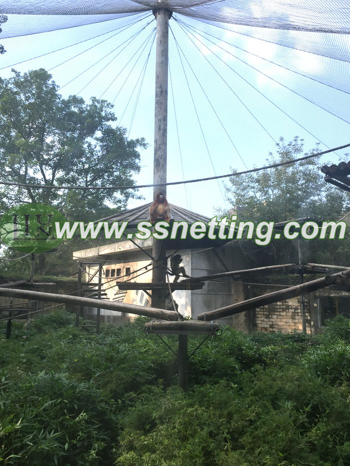 monkey enclosure mesh project case by stainless steel wire rope woven mesh