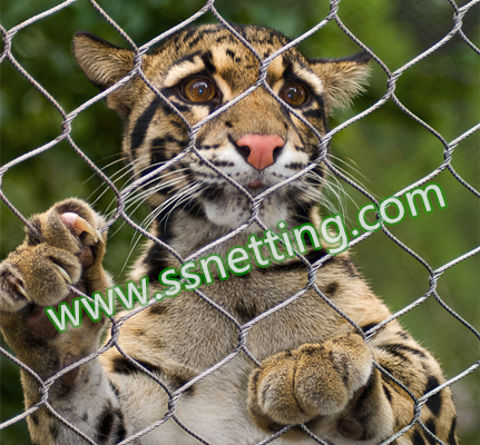 Big cat stainless steel cable mesh suppliers US, tiger/big cat enclosure fence for sale