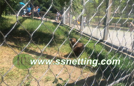 Falcon netting, Eagle cages, eagle cages netting.jpg