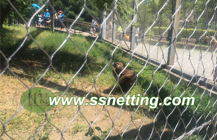 Eagle cage netting protection enclosure| eagle fence mesh custom