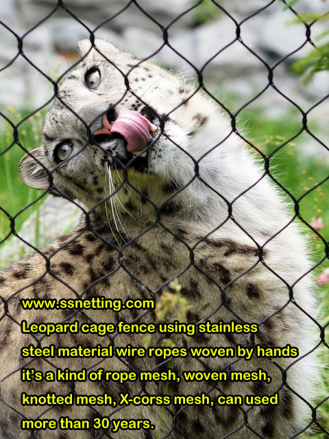 leopard cage fence