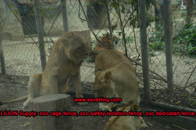 LIULIN Supply: zoo cage fence, zoo safety isolation fence, zoo dedicated fence