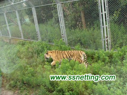 stainless steel tiger safety nets, tiger cages isolation nets