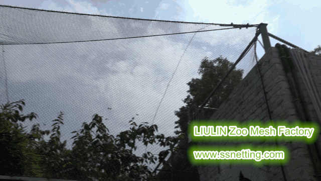 This is a stainless steel wire rope mesh case for the aviary cage netting. The picture shows the aviary cage top netting.