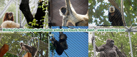 Monkey-Gorilla-Orangutan-Primates animal enclosure fence mesh.jpg