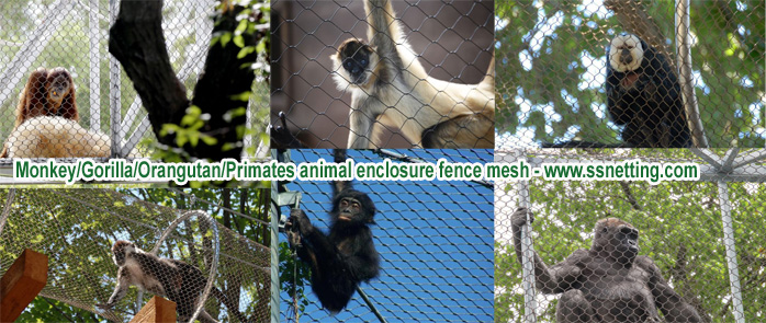 Monkey/Gorilla/Orangutan/Primates animal enclosure fence mesh
