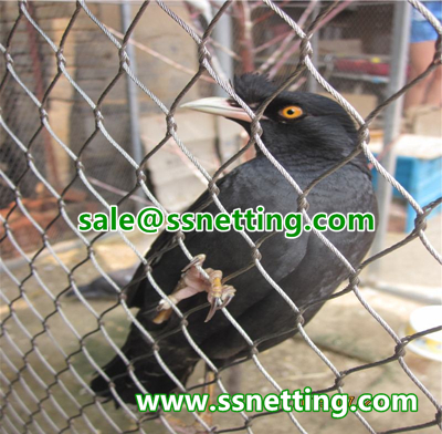 stainless steel aviary netting fence for bird cage protection