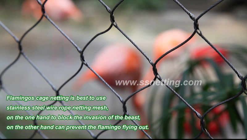 stainless steel wire rope mesh used for flamingo cage netting