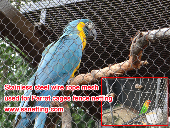 Zoo mesh for birds aviary
