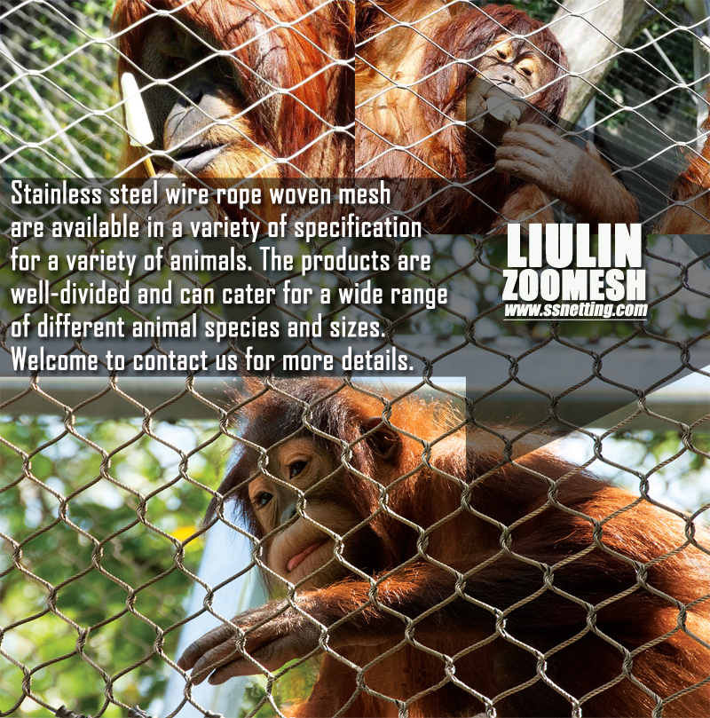 stainless steel wire rope woven mesh is very strong and safe, and it can also be climbed. It is a great pleasure for primates