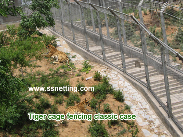 Tiger cage fencing classic case