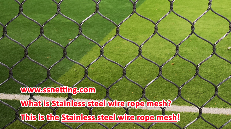 What is the Stainless steel wire rope mesh