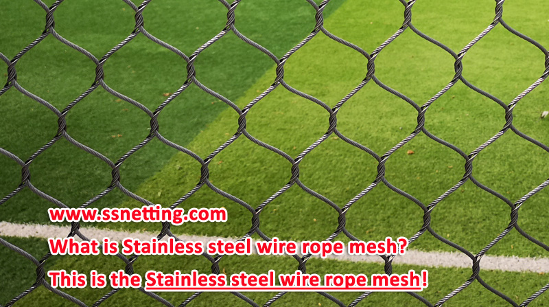 What is the Stainless steel wire rope mesh?