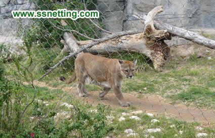 lion cage protective fence