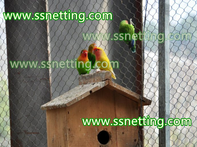 Stainless Steel Cable Nets for Aviary