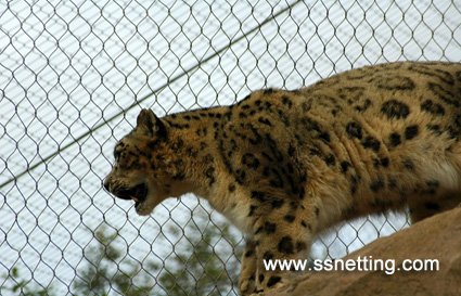 Secure, Flexible, and Aesthetic: Discover the Power of Leopard Fence Mesh