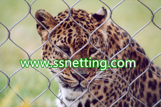 Stainless Steel Rope Netting is used for Zoo Animal Enclosure