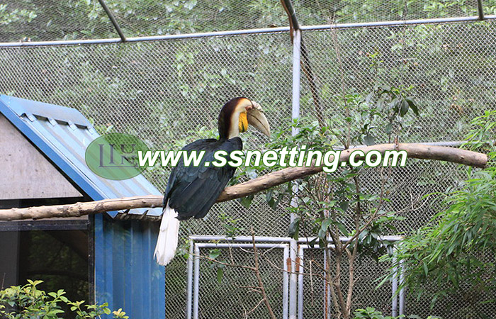 Toucan netting, Amazon parrot netting, pionus netting