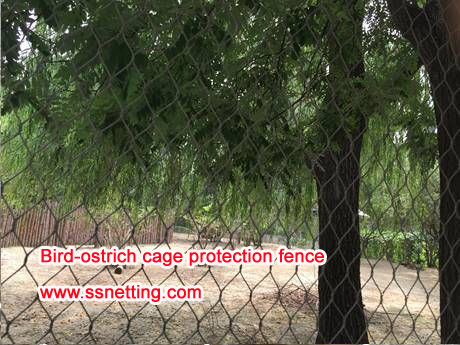 Bird-ostrich cage protection fence