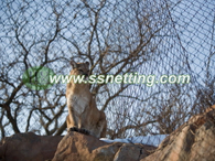 Lion Enclosure Fence Netting