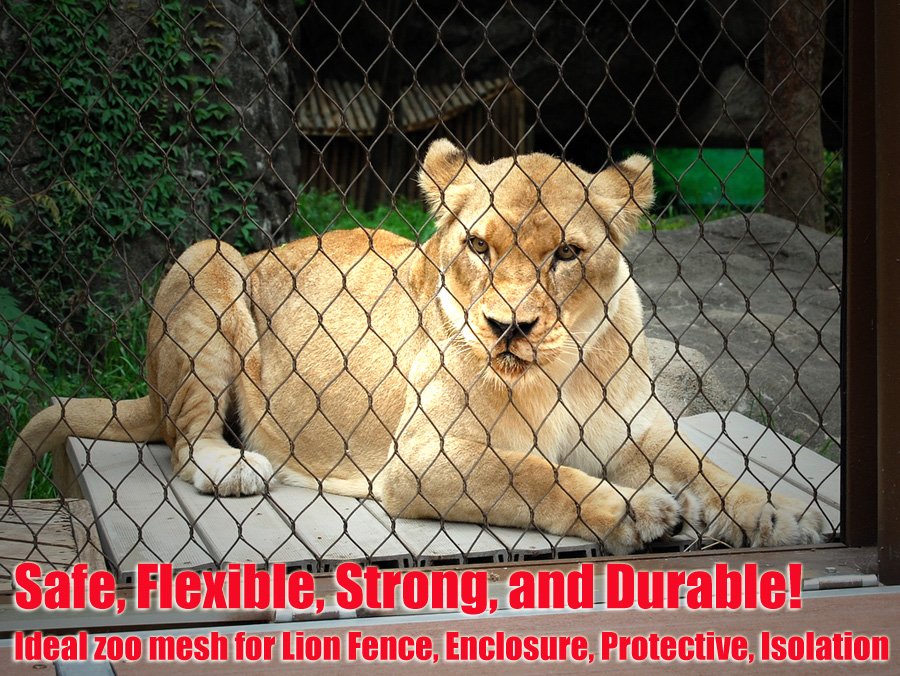 Lion cage mesh safe, protective,strong, durable