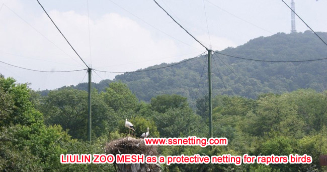 LIULIN ZOO MESH as a protective netting for raptors birds
