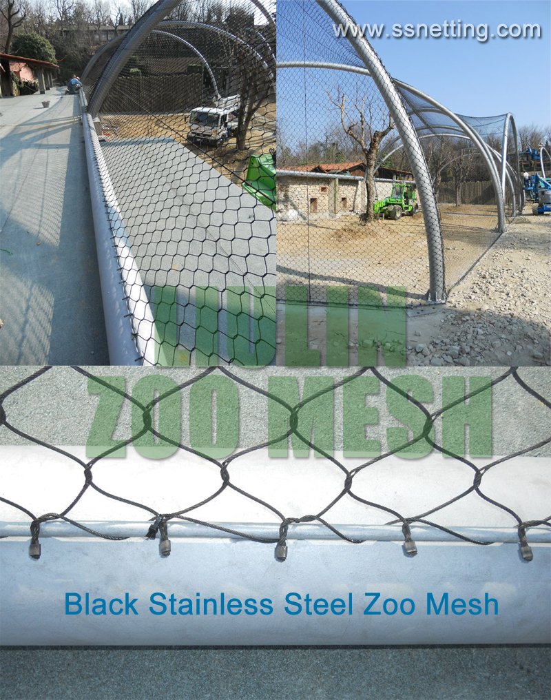 Black Stainless Steel Zoo Mesh