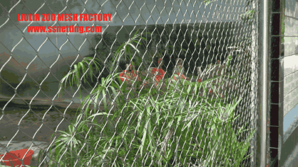 stainless steel wire rope woven mesh used for birds flamingo cage protective netting