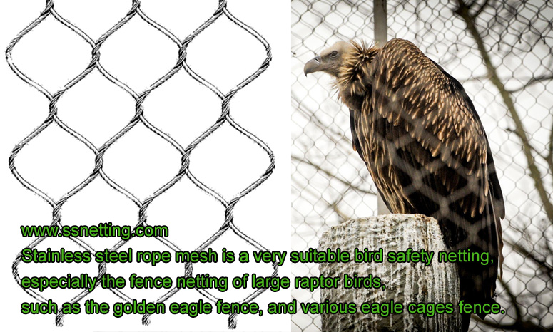 Fence netting of large raptor birds, Golden eagle fence