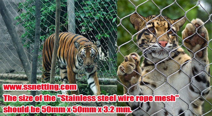 Bengal Tiger enclosure fence Recommendation