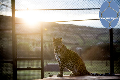 When visiting the zoo, note the following about Animal Fence Enclosures Netting.jpg