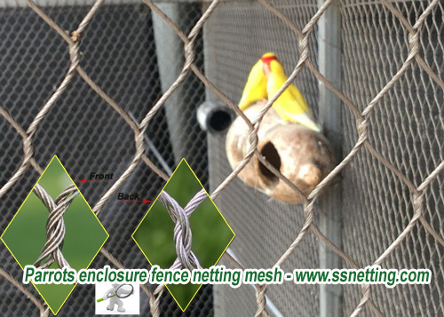 Parrots enclosure fence netting mesh