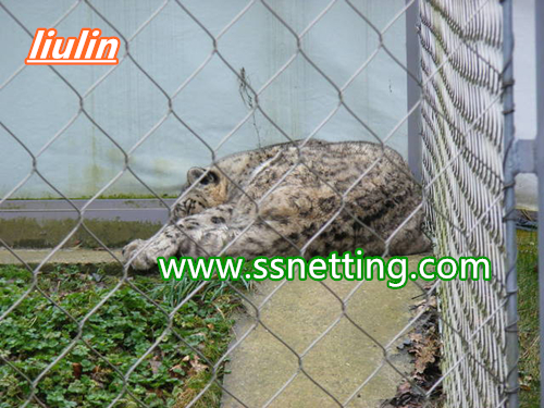 leopard enclosure mesh manufacturer in china