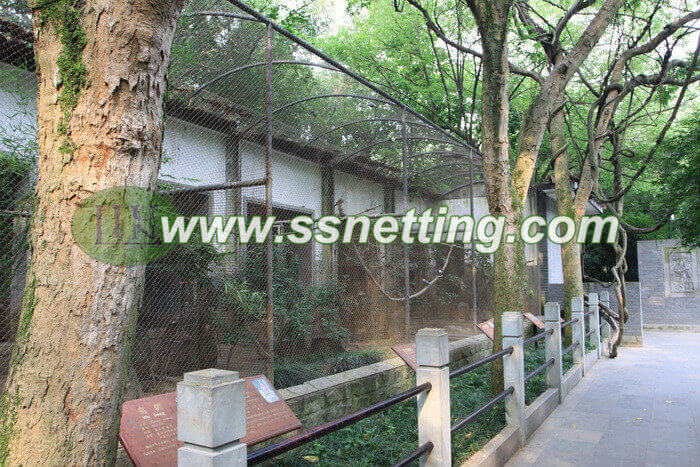 Lovebirds and the protective fence netting products