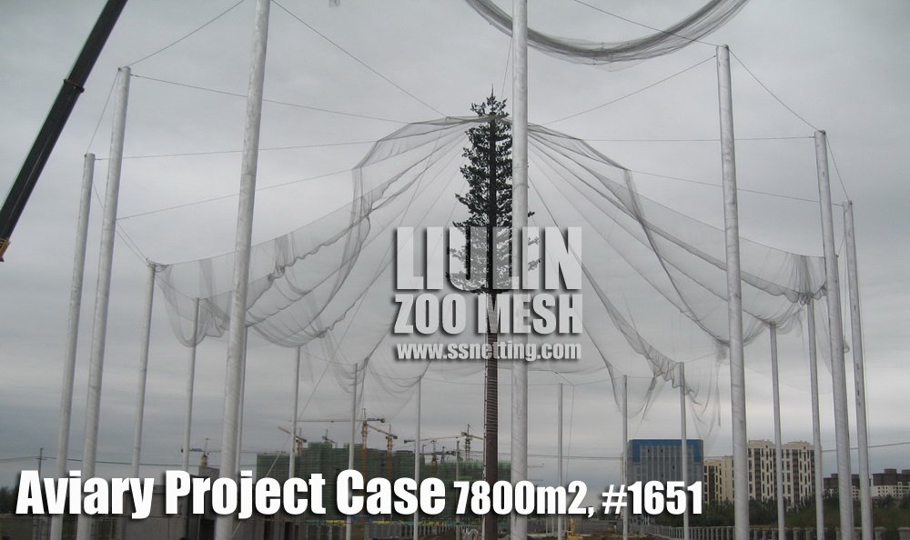 Aviary Project Case-17